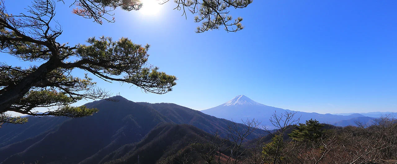 岩殿山から見た富士山