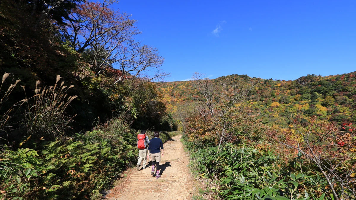 正面に紅葉で色づく斜面