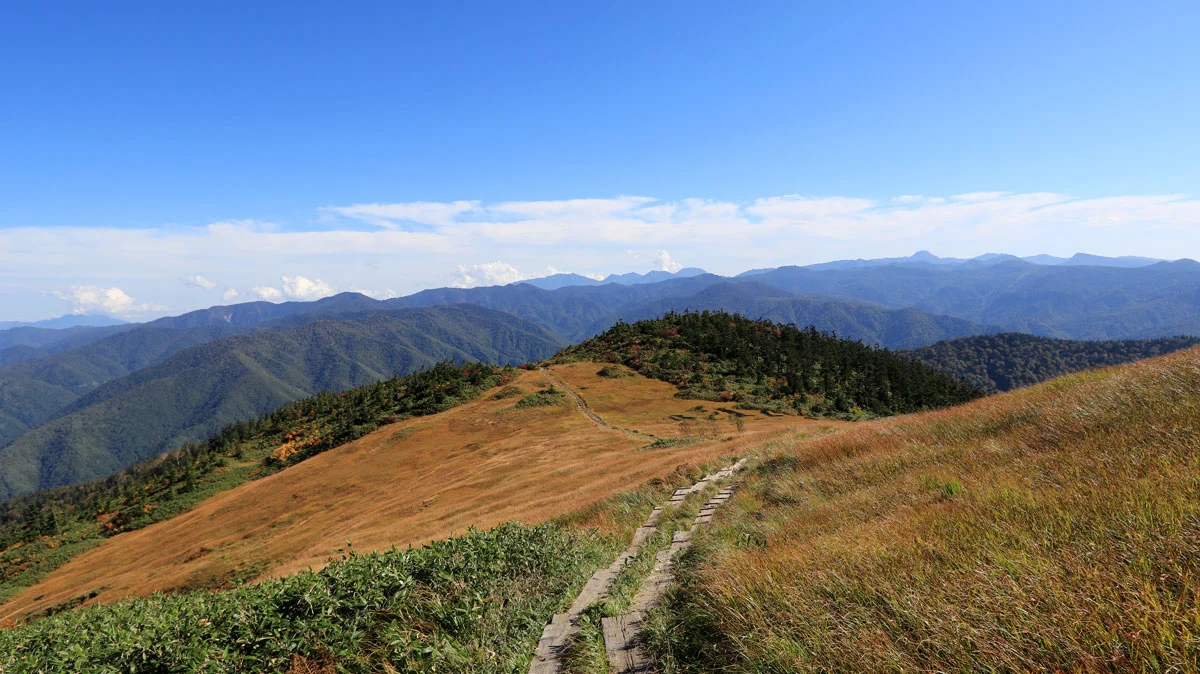 高層湿原の展望