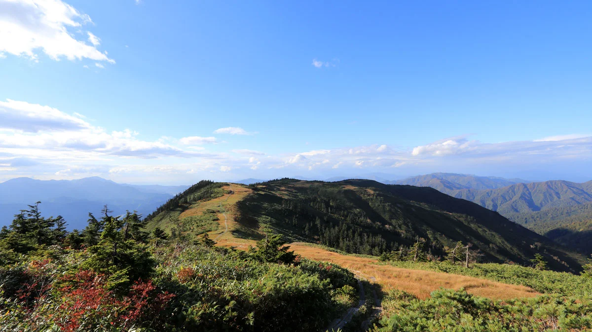 中門岳へと伸びる木道の道筋