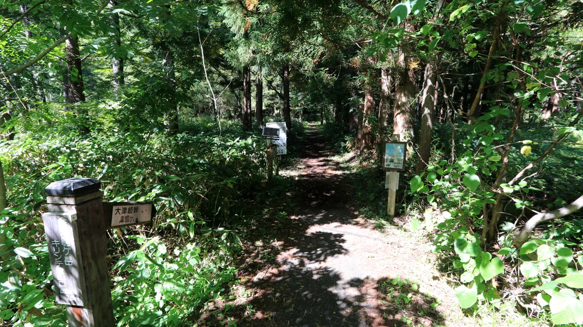 キリンテ登山口