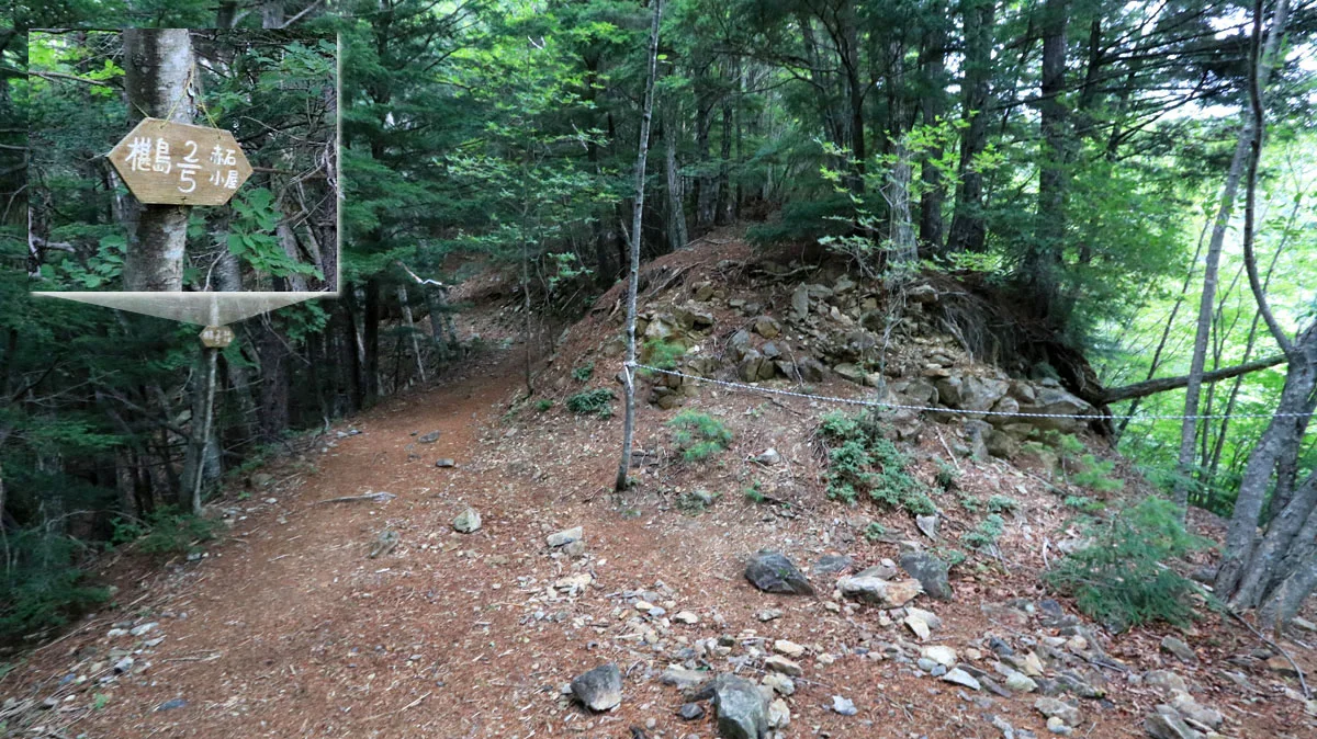 林道との交差地点