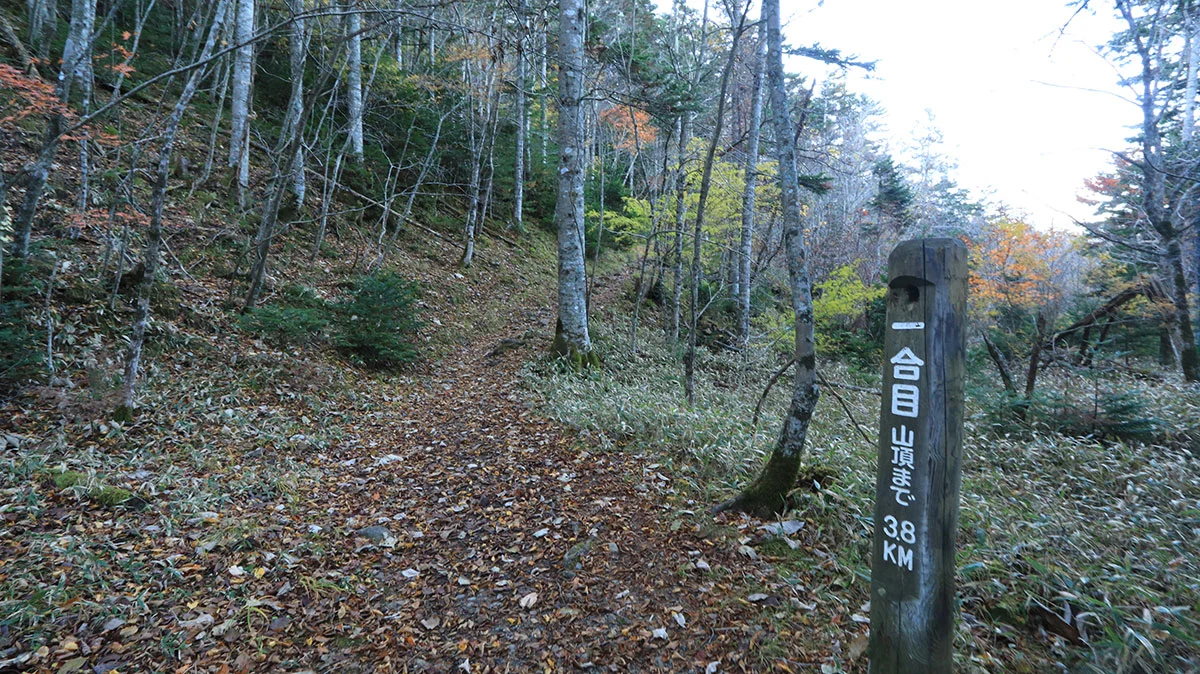 アポイ岳一合目