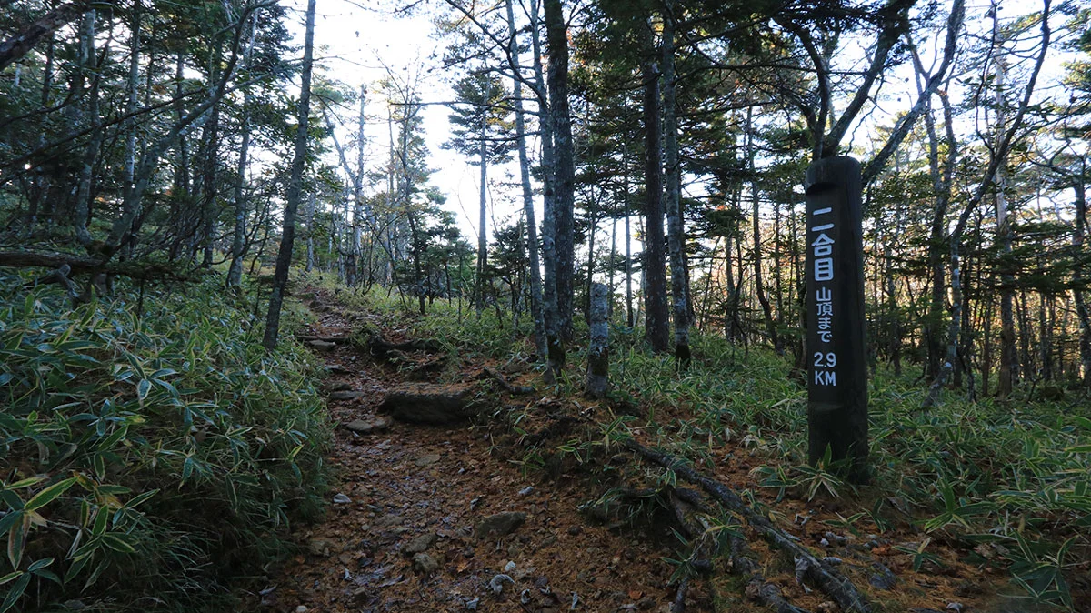 アポイ岳二合目