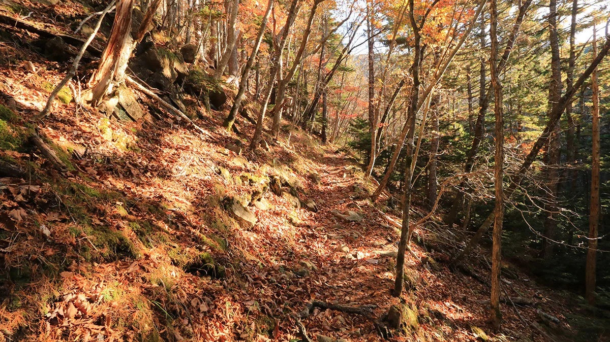 朝日で赤く染まる登山道