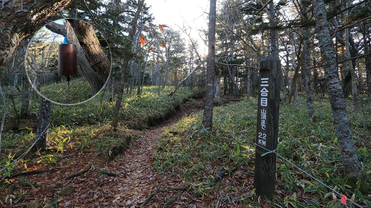 アポイ岳三合目