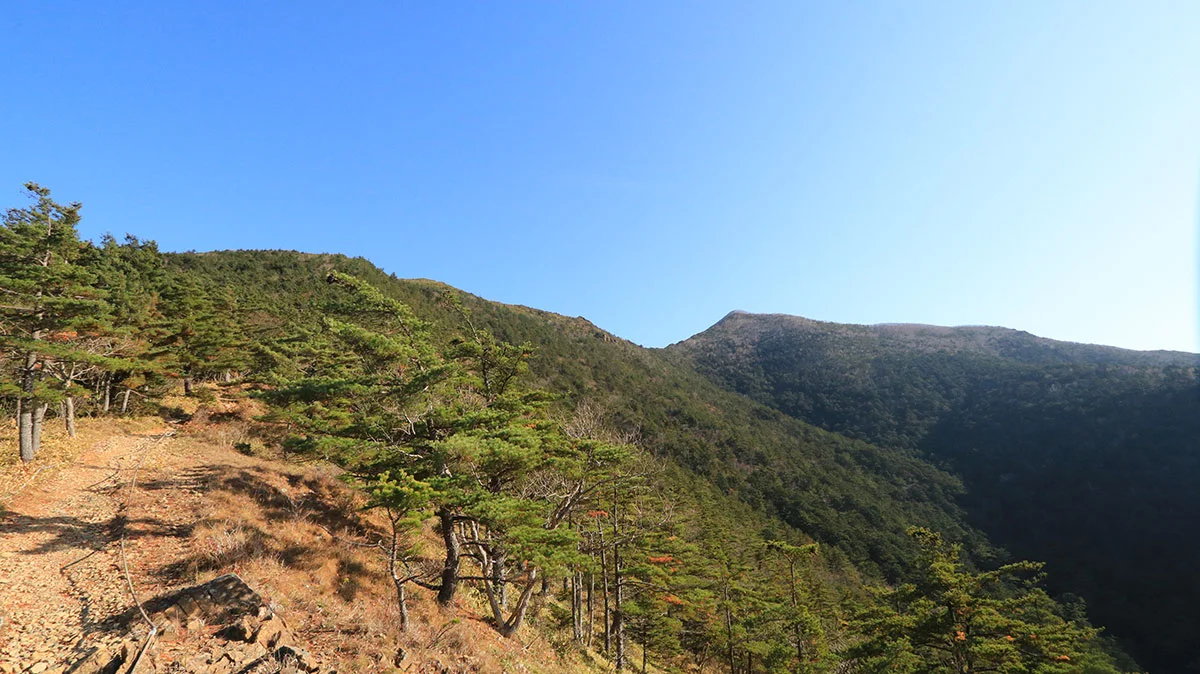 右奥にアポイ岳の山頂