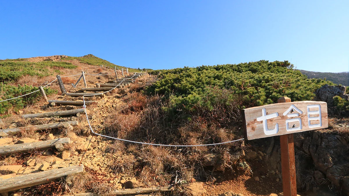 アポイ岳七合目
