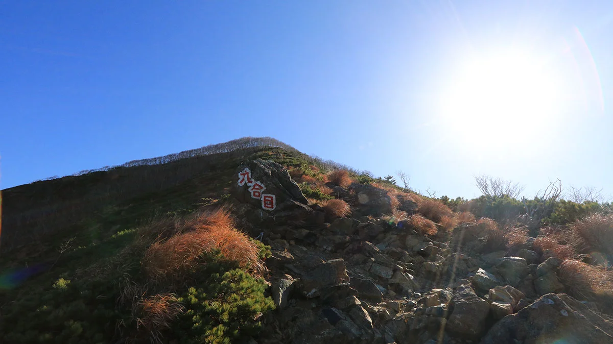 アポイ岳九合目