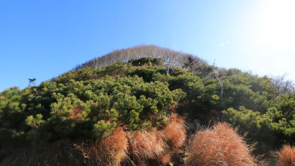 山頂手間の登山道