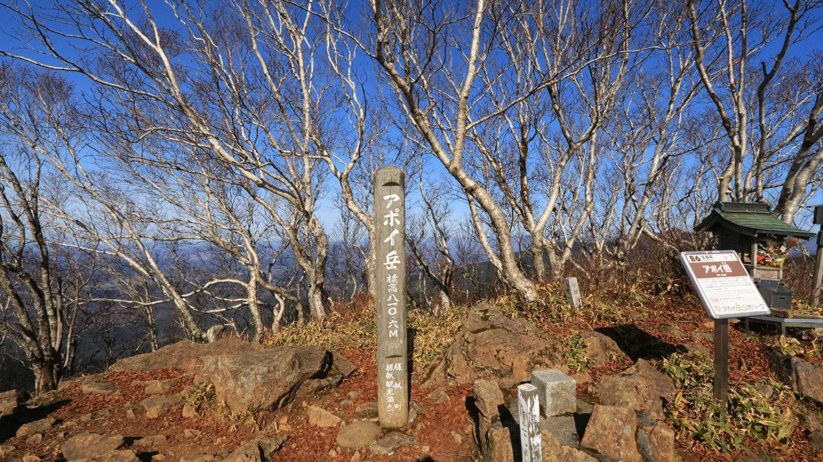 アポイ岳の山頂