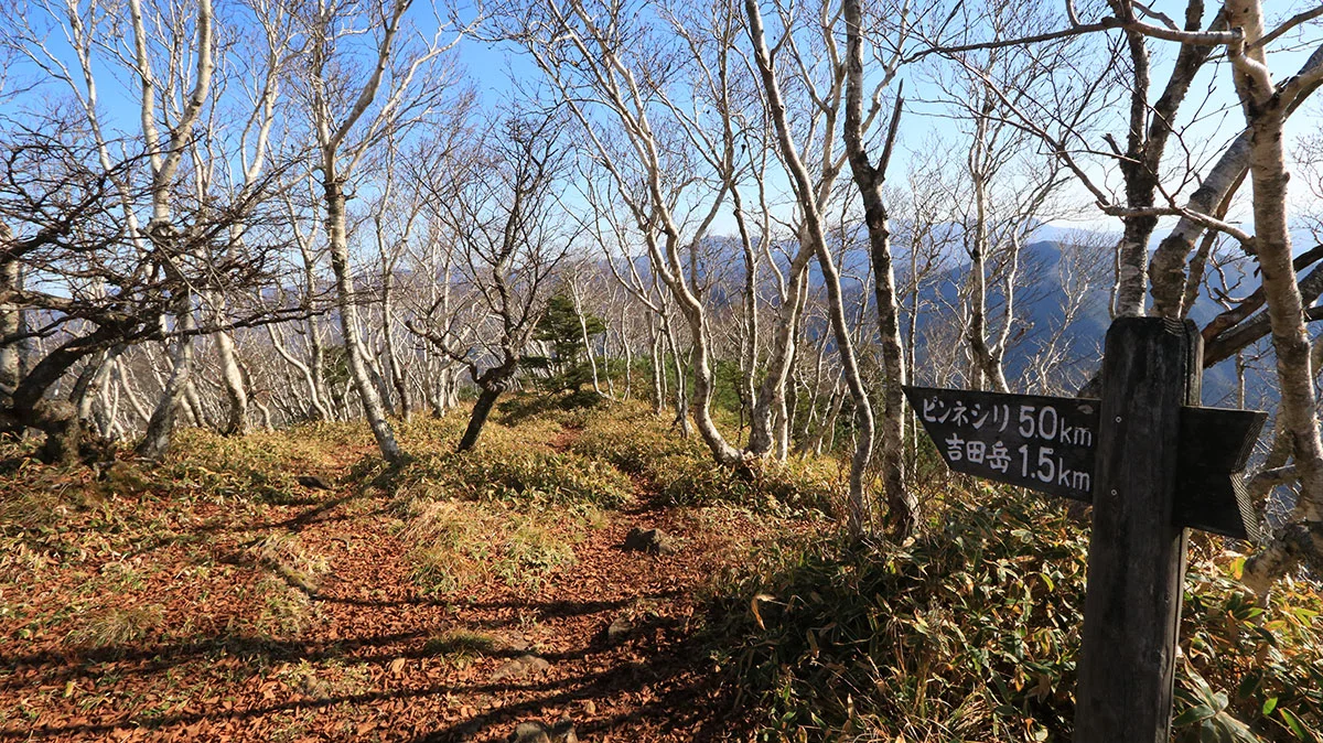 吉田岳まで1.5kmの道標