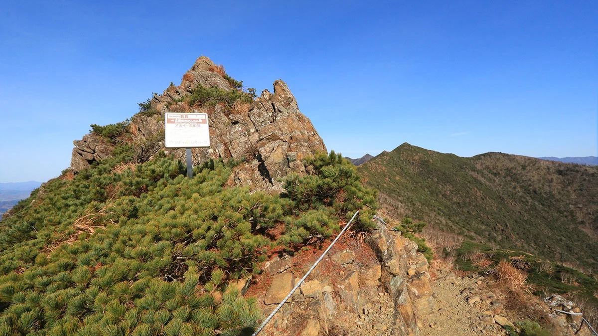 B8のうんちく看板