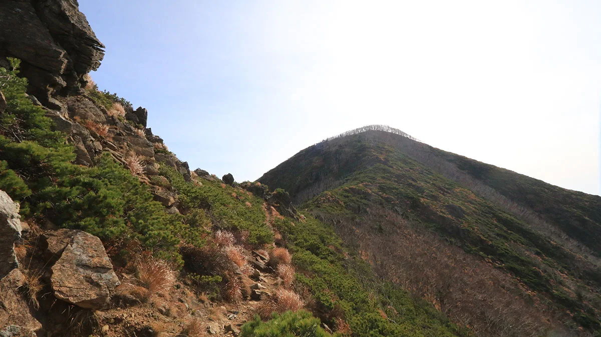 アポイ岳山頂直下の上り道