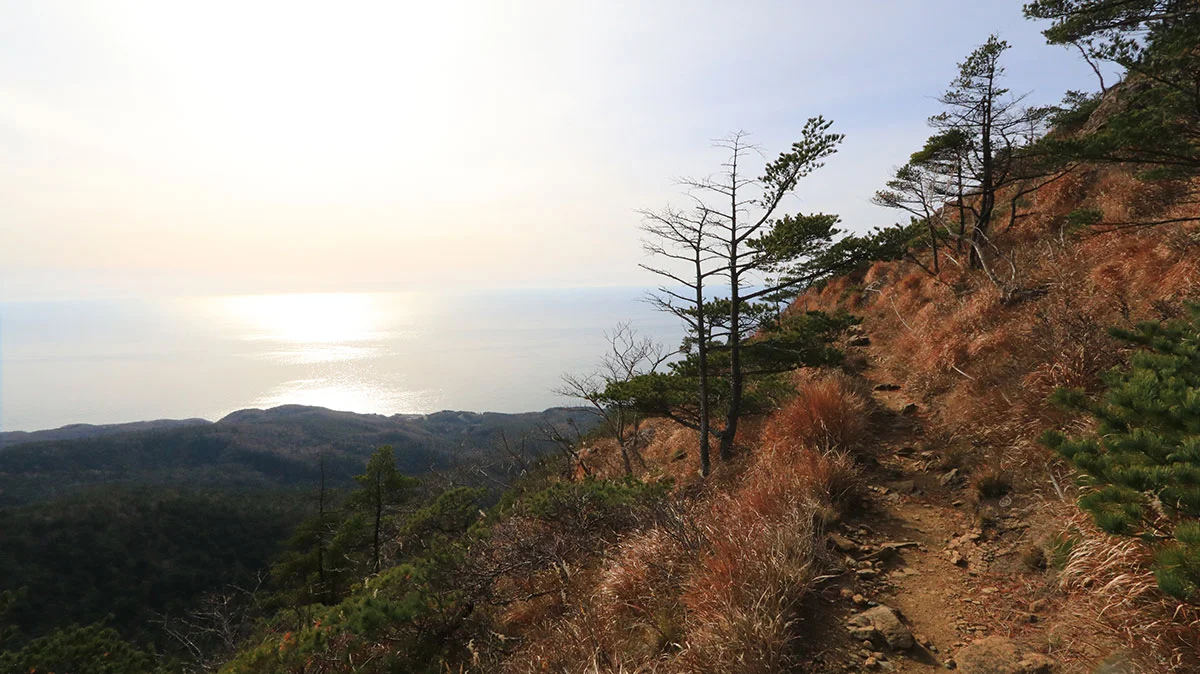 馬の背お花畑付近の登山道