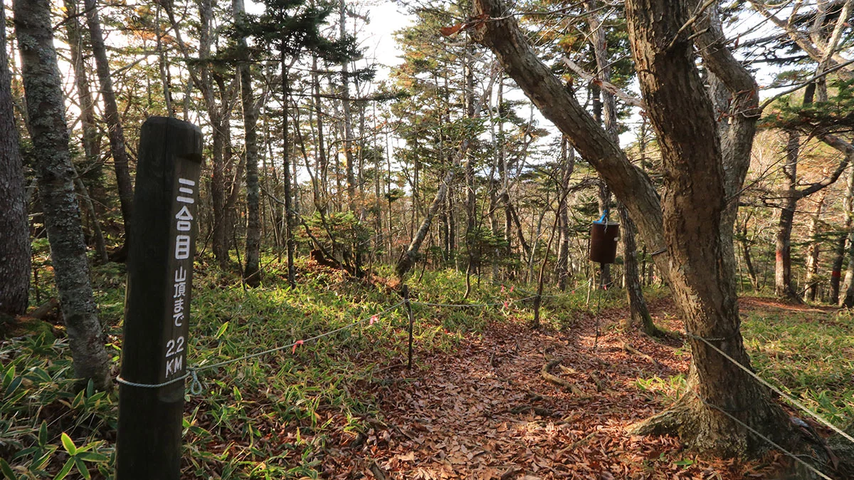 アポイ岳三合目