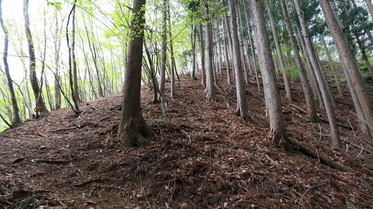相沢コース登山道