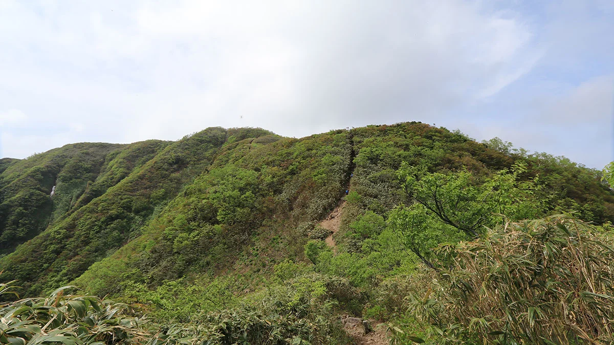 景色の開けた登山道