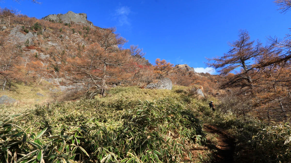 左側に大きな岸壁