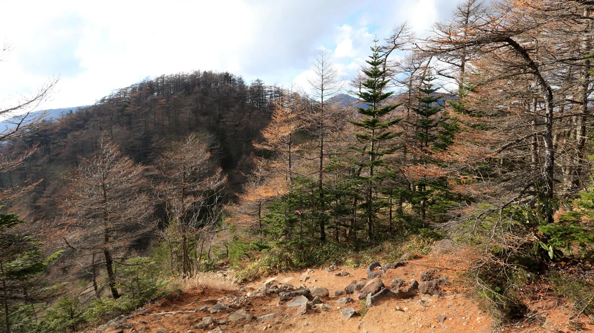 目の前に小ピーク