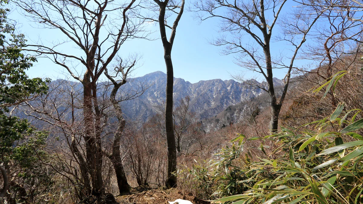 鋸岳展望台からの風景