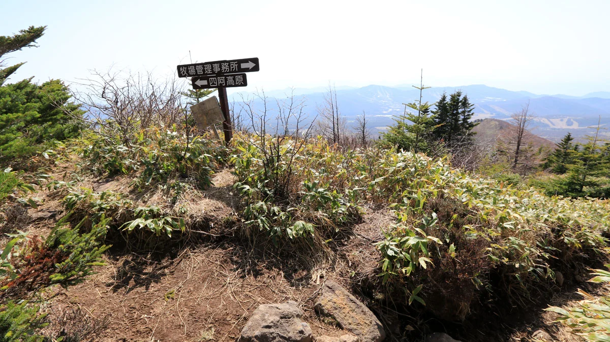 あずまや高原コースとの分岐地点を通過