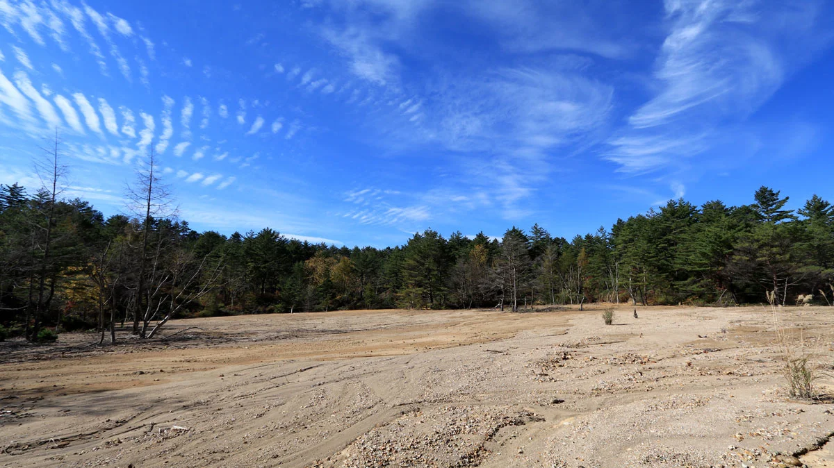 広大な面積の砂地