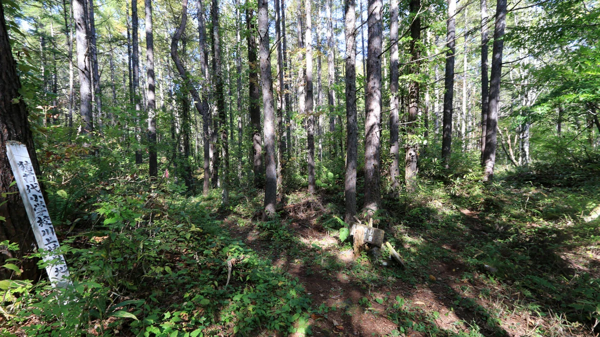 川上登山口（上・下）の分岐
