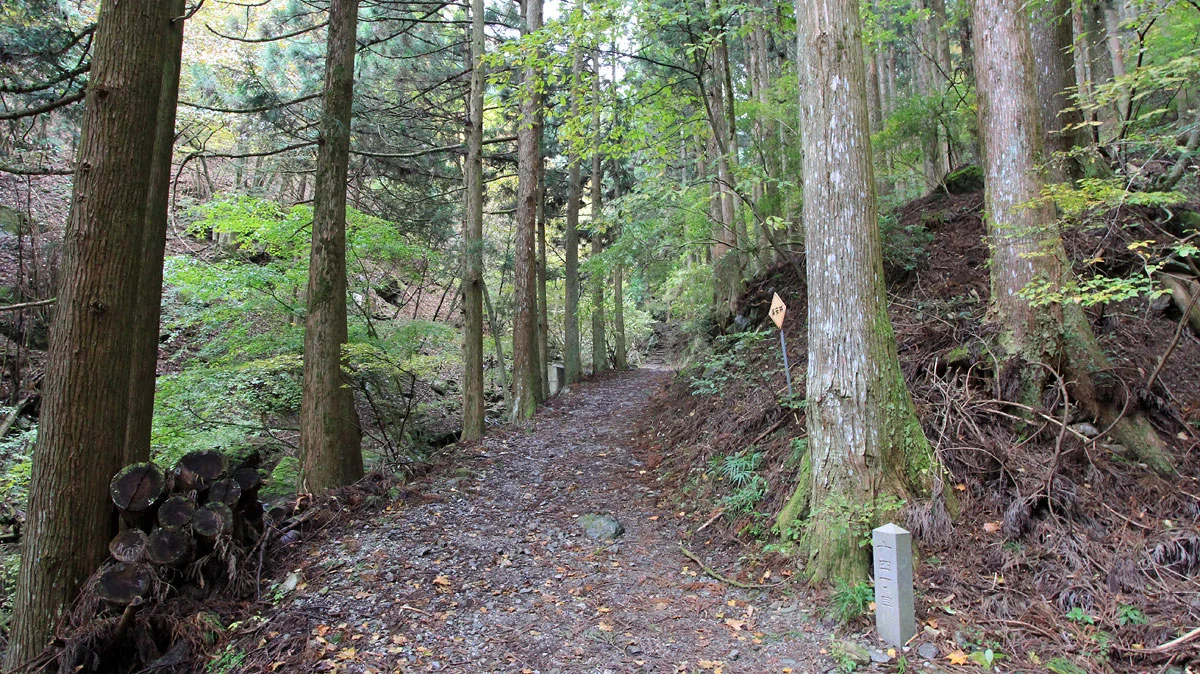 登山道十四丁目