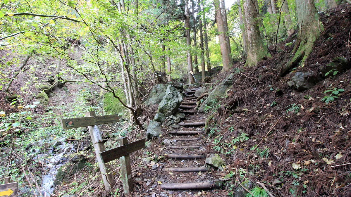 登山道十五丁目付近