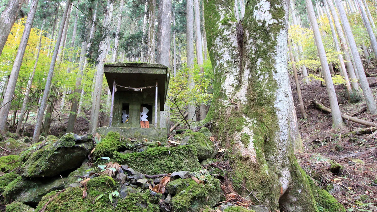 登山道三十丁目付近の祠