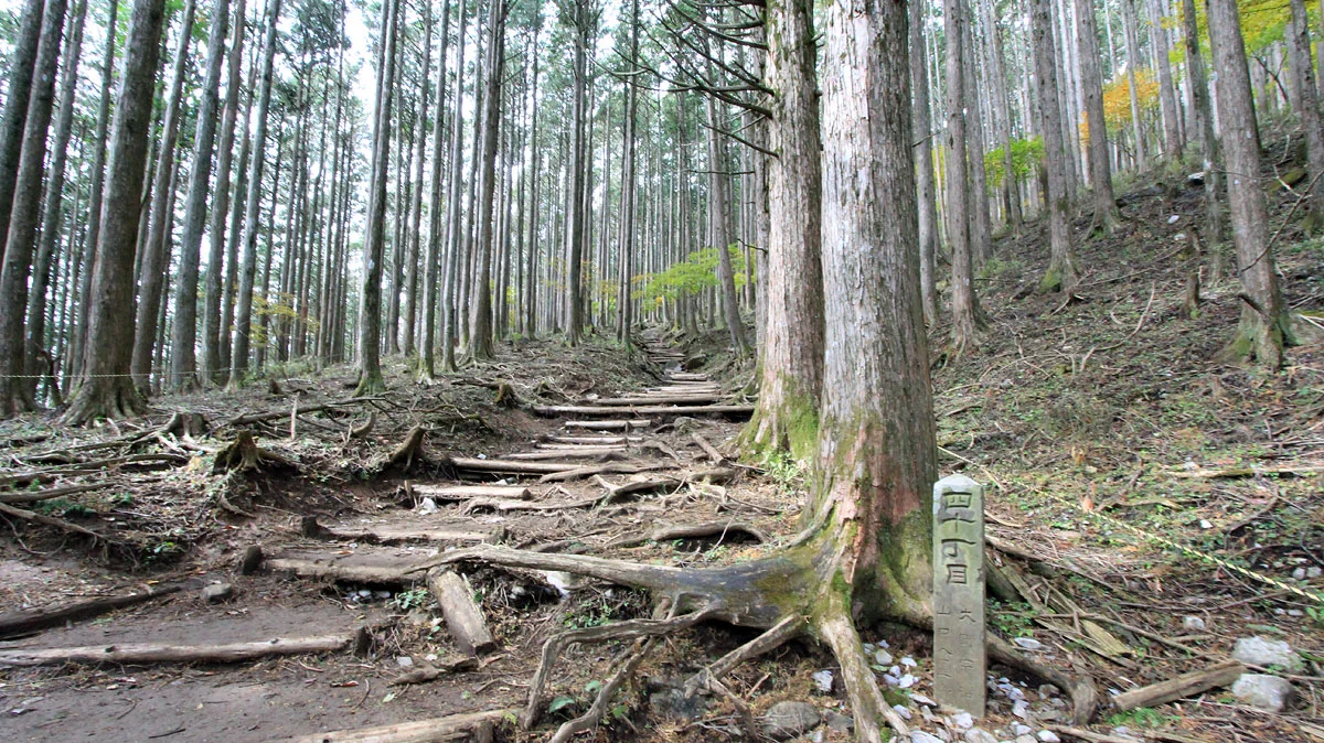 登山道四十丁目