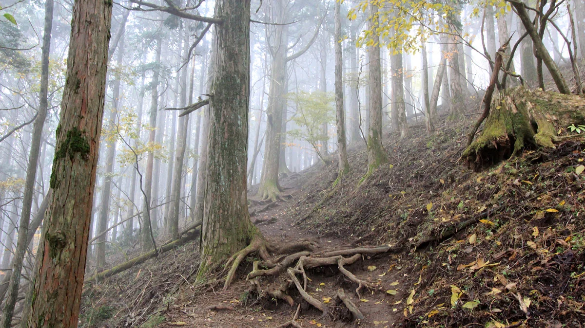 四十八丁目付近