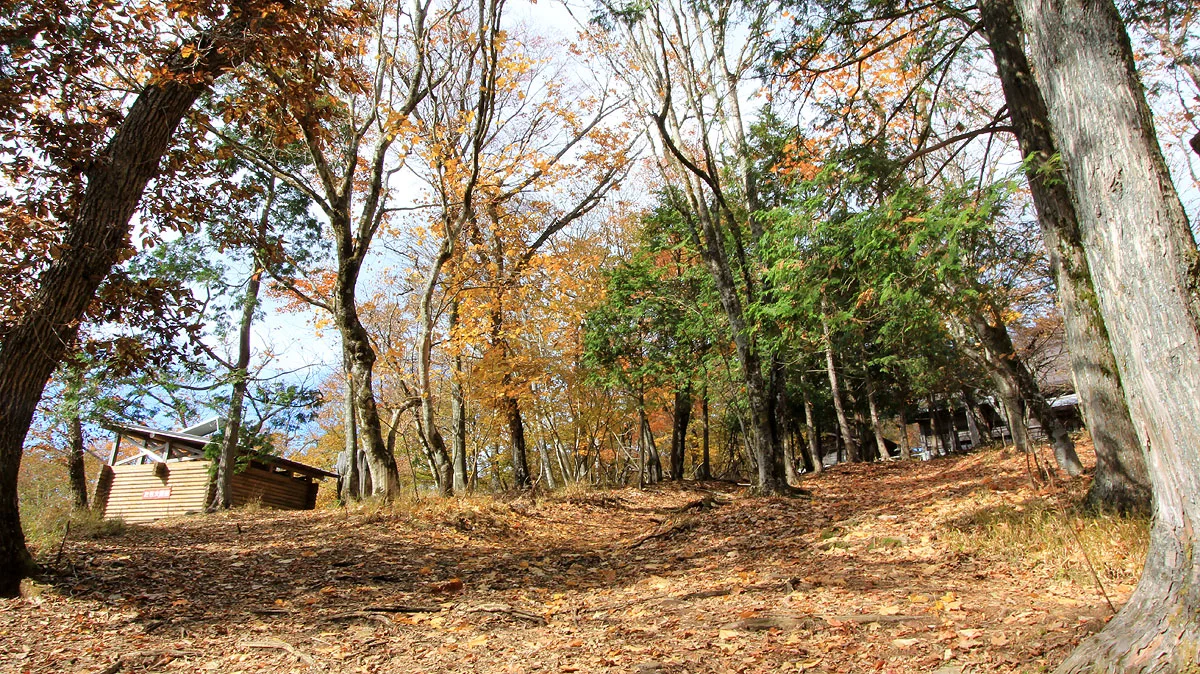 武甲山御嶽神社周辺
