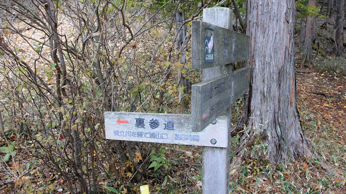 裏参道と大持山・子持山への分岐