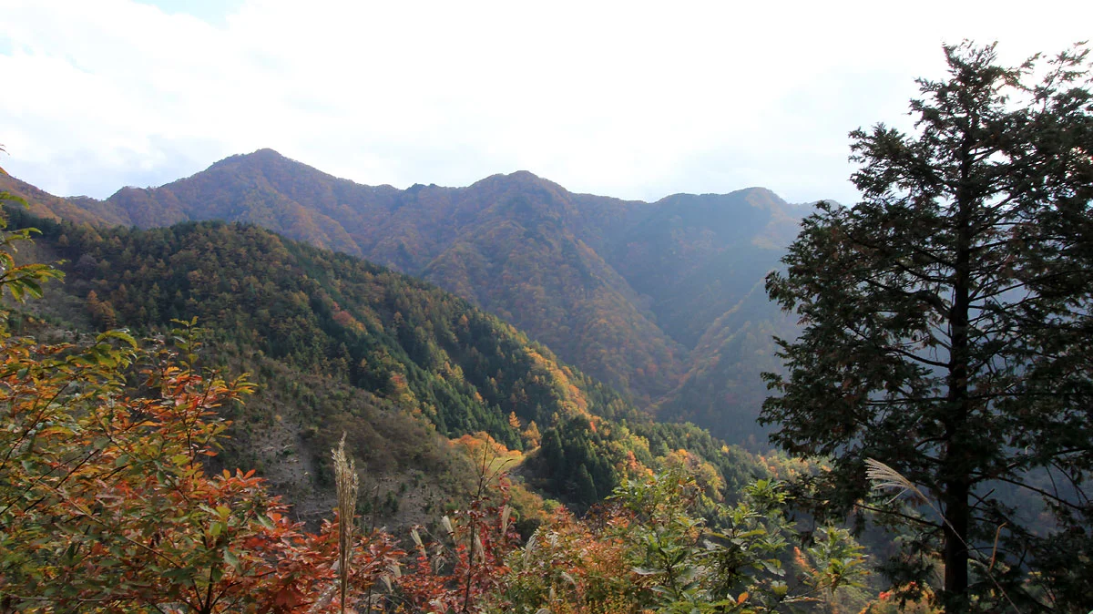 武甲山に隣接する山々