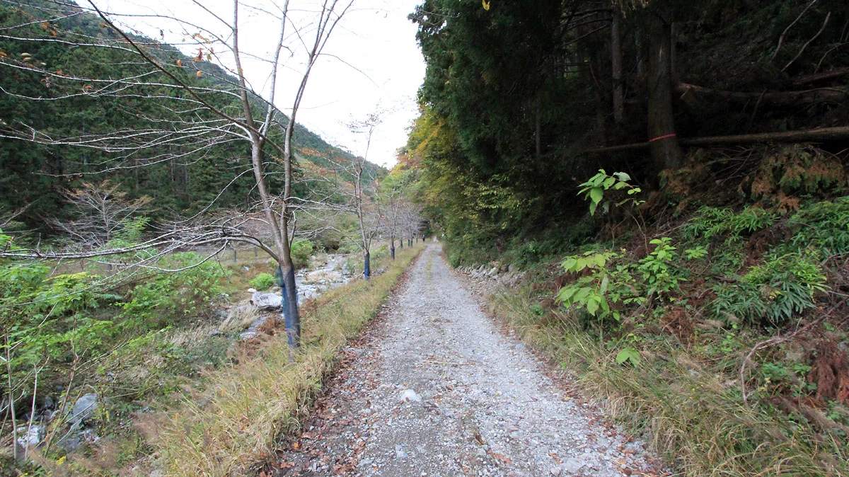 浦山口駅まで長く続く林道