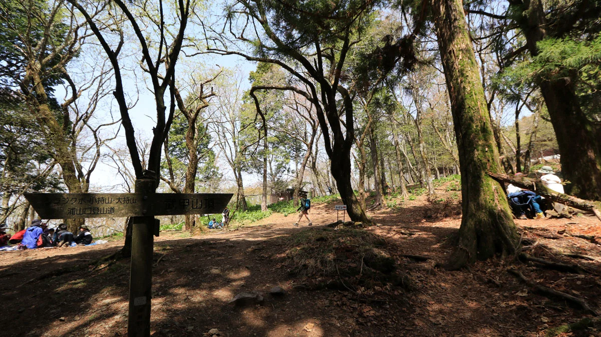 武甲山山頂の広場