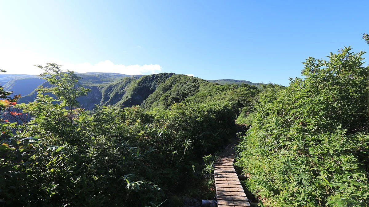 鉾立展望台以降の道