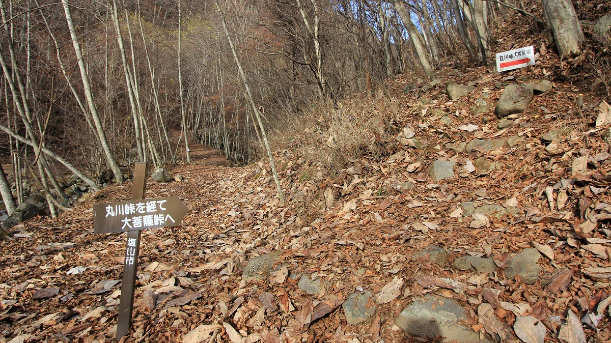 丸川峠登山道