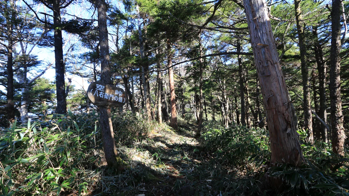 空峠（八右衛門の頭）