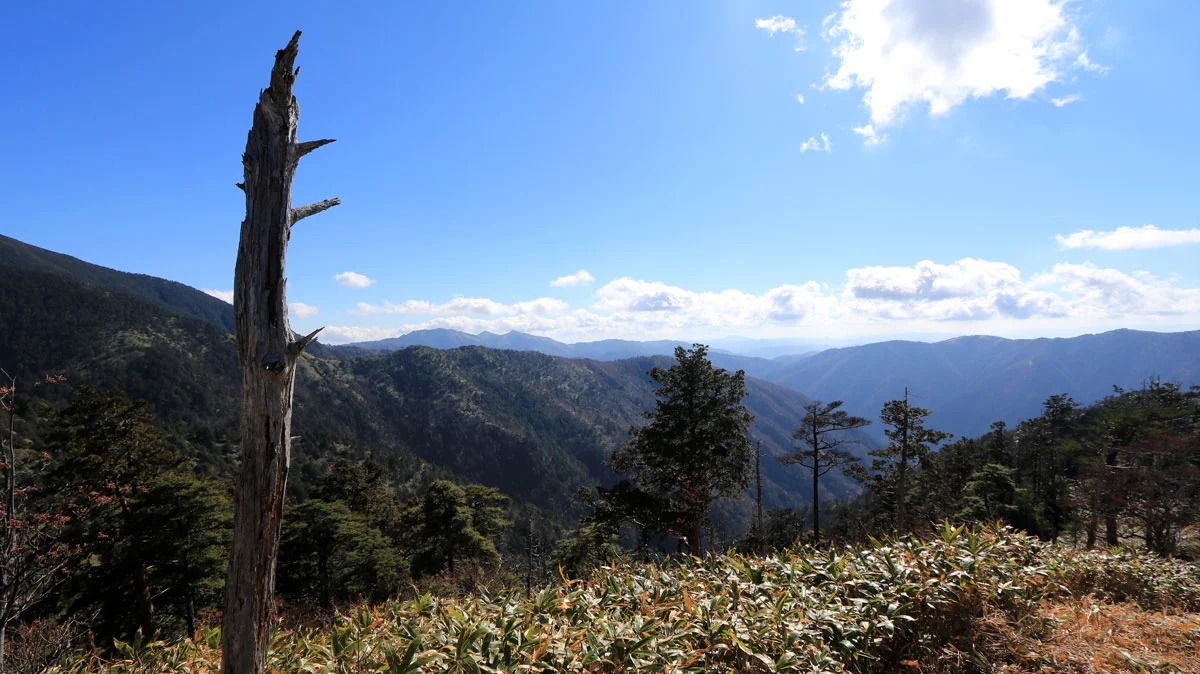 恵那山登山道からの展望