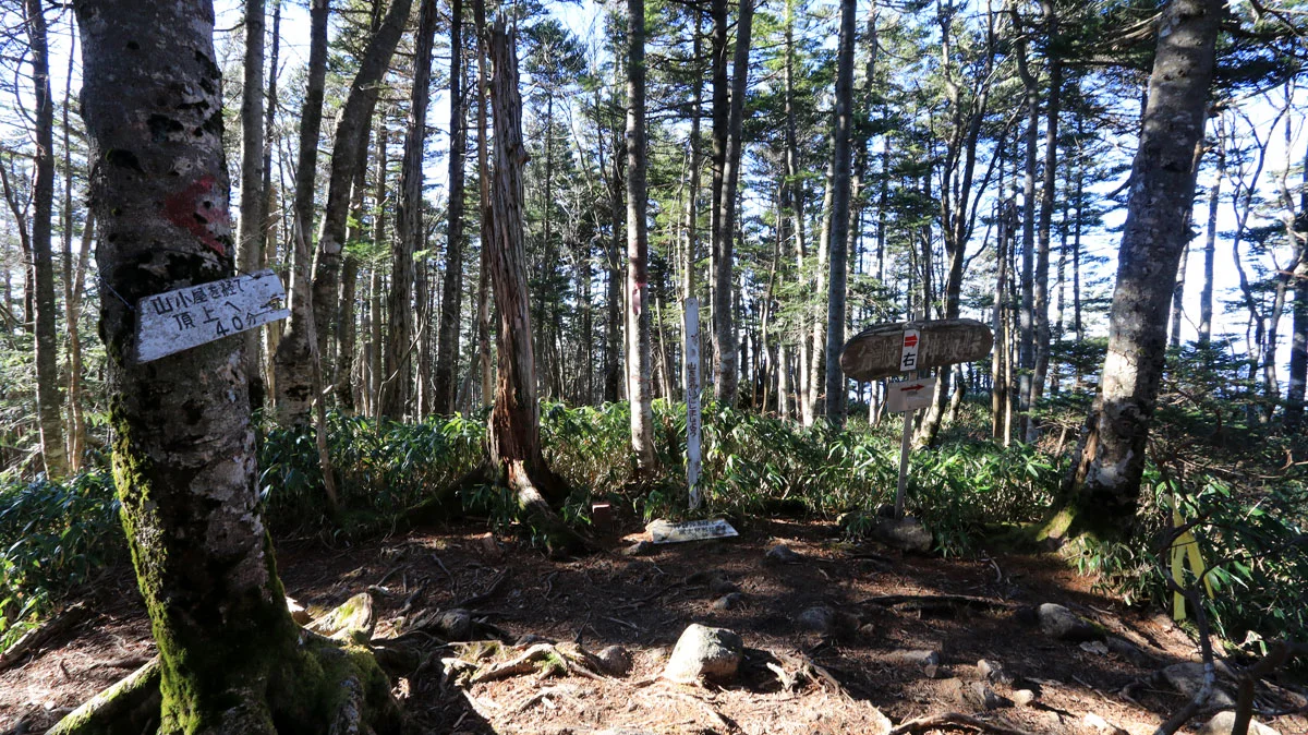 神坂峠ルートとの合流地点