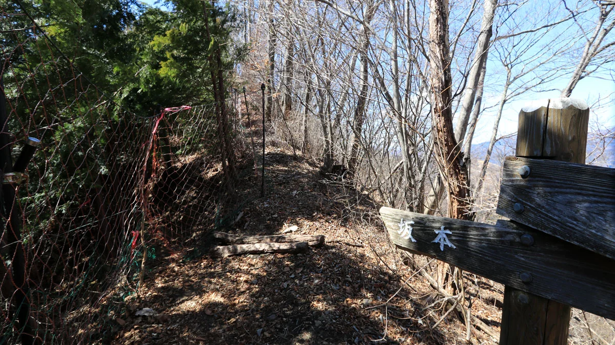 坂本への分岐地点