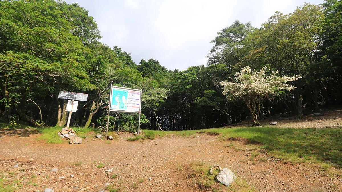 藤原岳の八合目