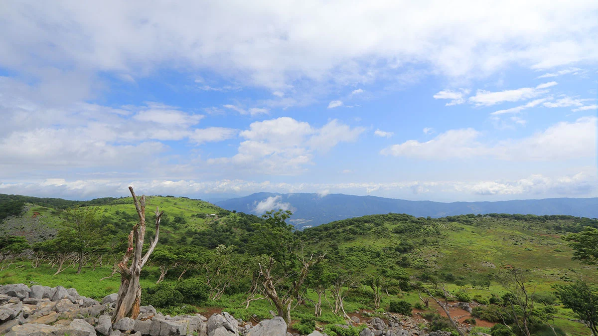 藤原岳から北東方面の展望