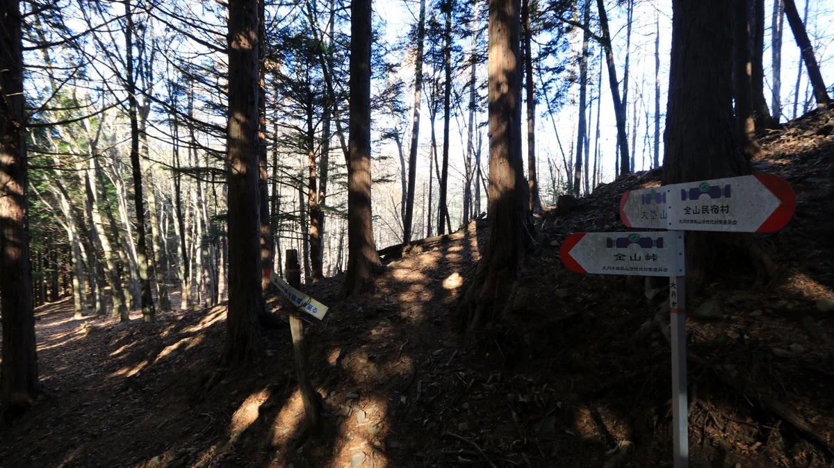 雁ヶ腹摺山の山頂