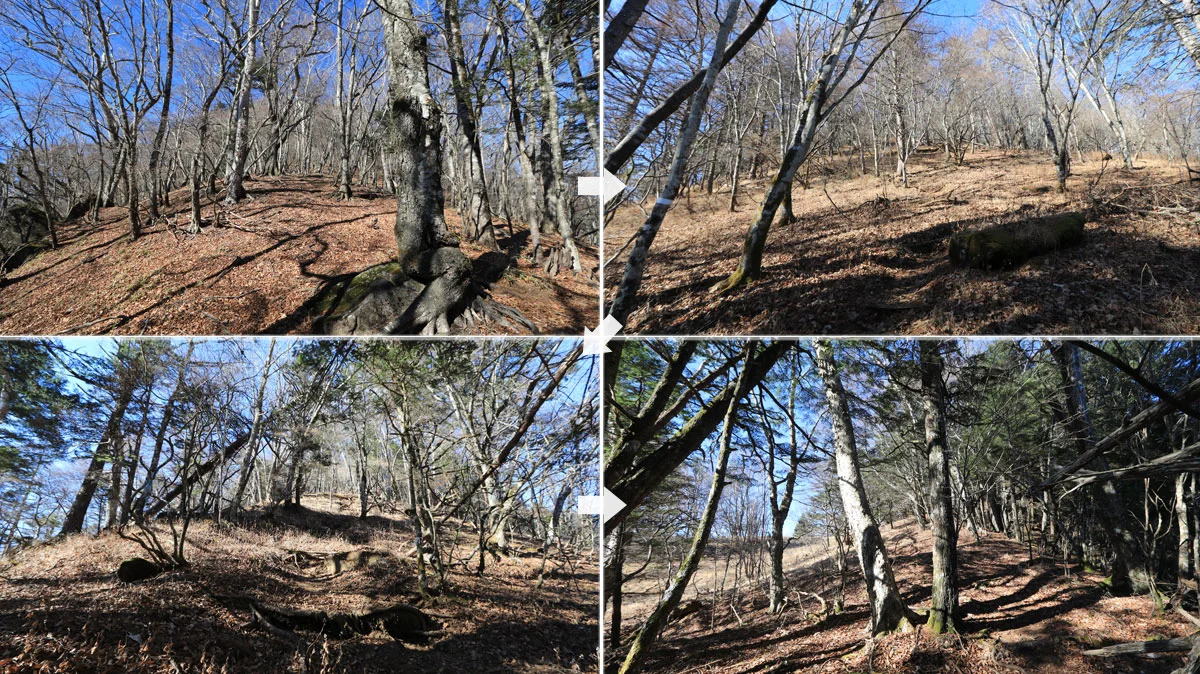 雁ヶ腹摺山直下の登り道