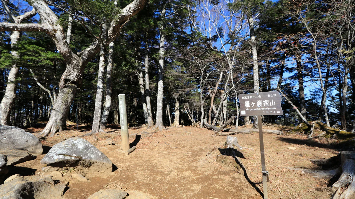 雁ヶ腹摺山の山頂
