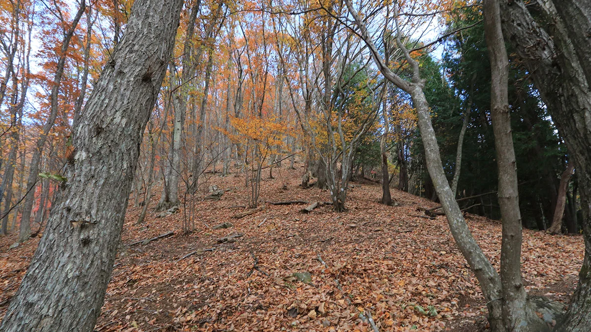 傾斜が出始める登山道